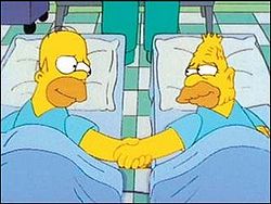 Homer Simpson in- "Kidney Trouble".jpg