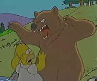 Homer bear.jpg